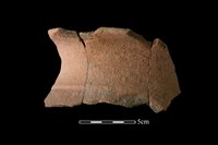 藏品(陶罐)的圖片